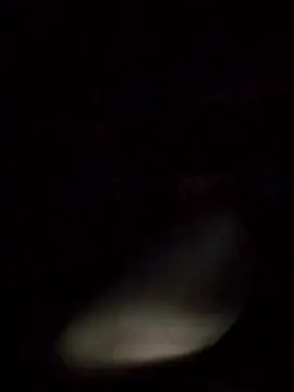 axelongshaft69 online show from March 9, 12:53 pm