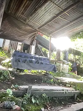 Jestebanano online show from April 2, 2:26 pm