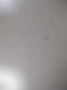 geilerschwanz64 online show from October 15, 9:59 pm