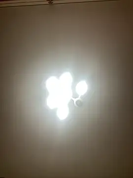 Snapshot of Janet_Welder chatting on December 2, 6:09 am Janet Welder online show from December 2, 6:09 am