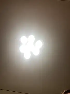 Snapshot of Janet_Welder chatting on December 7, 5:15 am Janet Welder online show from December 7, 5:15 am