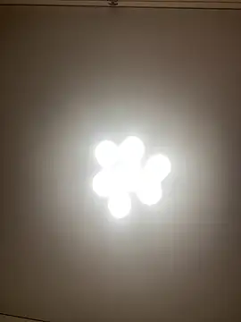 Snapshot of Janet_Welder chatting on December 10, 2:16 am Janet Welder online show from December 10, 2:16 am