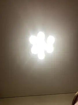 Snapshot of Janet_Welder chatting on December 16, 7:37 am Janet Welder online show from December 16, 7:37 am