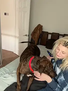 torilux online show from January 31, 8:43 pm