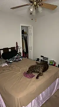 torilux online show from February 25, 8:14 am