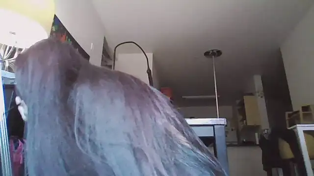 SexiiiMexiii online show from December 2, 6:54 pm