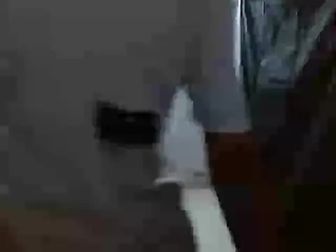 Snapshot of latino_hotxxx chatting on October 20, 11:27 pm latino hotxxx online show from October 20, 11:27 pm