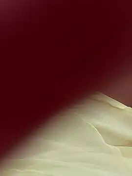 lariic online show from March 31, 6:41 pm