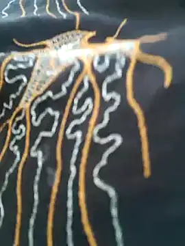 kumaricapalsex2 online show from February 6, 11:43 am