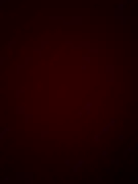 DINA-FOX online show from January 30, 11:55 pm