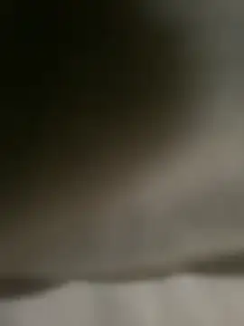 DINA-FOX online show from February 1, 2:02 pm