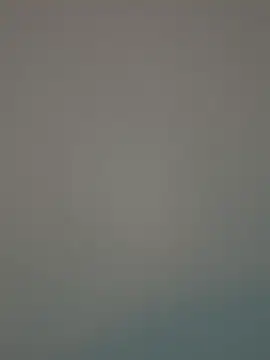 Snapshot of ADilil chatting on February 4, 9:37 am ADilil online show from February 4, 9:37 am