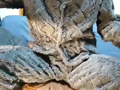 creamlive97 online show from December 30, 12:42 pm