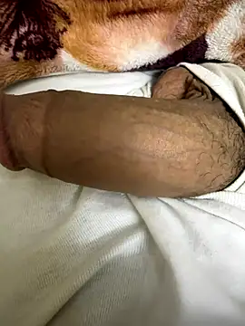 Snapshot of hamed-697 chatting on December 3, 7:00 pm hamed-697 online show from December 3, 7:00 pm