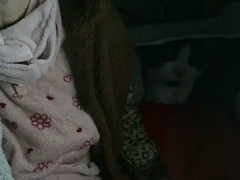 VeneRed online show from March 16, 9:19 pm