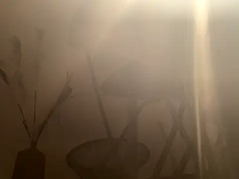 mesetti online show from December 8, 3:13 pm