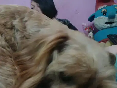 Snapshot of Cheliafun chatting on October 25, 2:13 pm Cheliafun online show from October 25, 2:13 pm