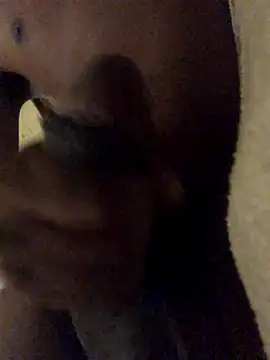 Snapshot of the_bigwc chatting on December 8, 12:29 am the bigwc online show from December 8, 12:29 am