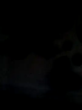 Leocesar37 online show from June 21, 5:43 am