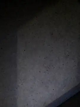 Leocesar37 online show from July 23, 4:54 am