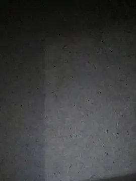 Leocesar37 online show from July 24, 3:26 am