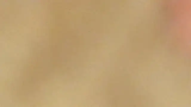 Snapshot of AraCopple chatting on December 31, 3:45 am AraCopple online show from December 31, 3:45 am