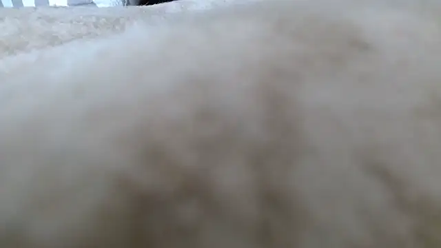 Heracles00 online show from October 13, 12:49 pm