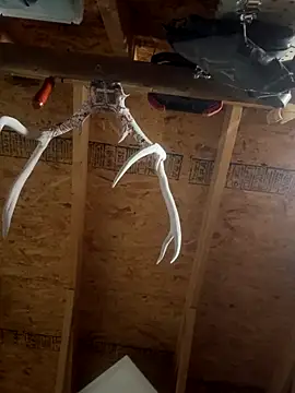 dcockell online show from October 23, 4:01 am