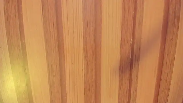 Taylor  cooper online show from November 15, 6:37 pm