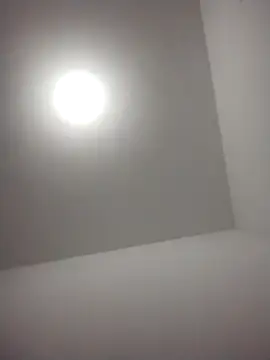 barboza991 online show from December 28, 11:48 pm