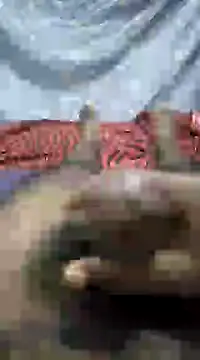 Snapshot of mallucallboy2104 chatting on January 1, 9:09 pm mallucallboy2104 online show from January 1, 9:09 pm