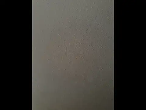 Snapshot of cretanbi chatting on November 21, 12:48 pm cretanbi online show from November 21, 12:48 pm