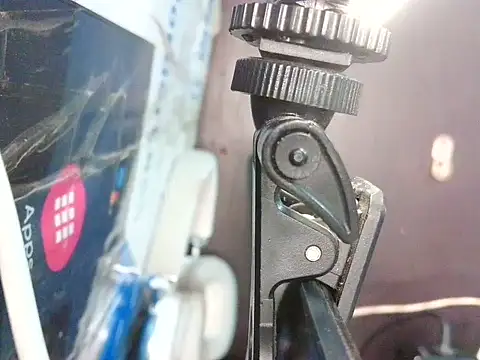 bellacrespalatina online show from April 22, 2:40 pm