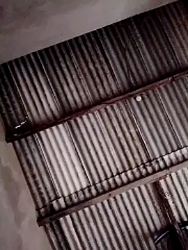 Snapshot of Viny459 chatting on December 14, 8:02 pm Viny459 online show from December 14, 8:02 pm