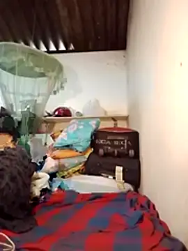 SL-WASI online show from November 14, 9:08 am