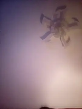 Fiesty findom40 online show from January 10, 2:35 am