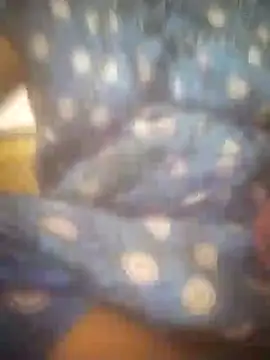 jessi telugu online show from December 5, 12:33 pm