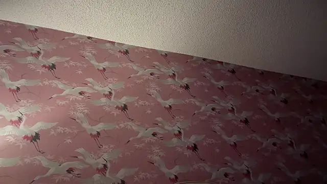 Youngjoshy online show from November 13, 7:40 am