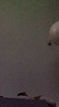 babylonia4sex online show from December 10, 11:43 am