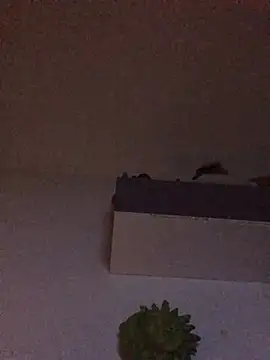 babylonia4sex online show from January 31, 11:13 am