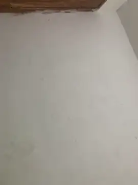 menorbnx online show from November 9, 6:33 am