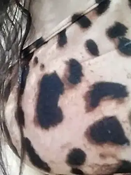 Cristina sexy maroc online show from January 31, 11:47 pm