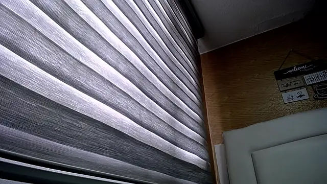 Snapshot of palmer_mIix chatting on December 2, 3:14 pm palmer mIix online show from December 2, 3:14 pm