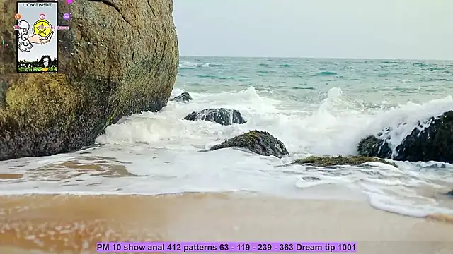  sex in paradise  online show from December 3, 12:35 am
