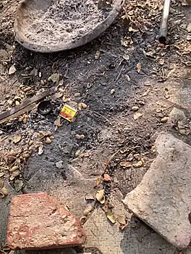 satrr xxx online show from November 27, 4:58 am