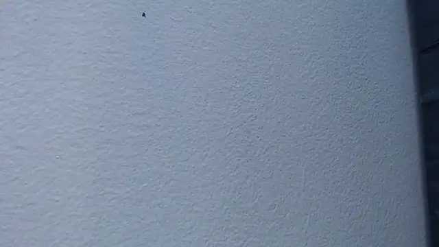 Hanna Fox 69 online show from February 15, 6:02 am