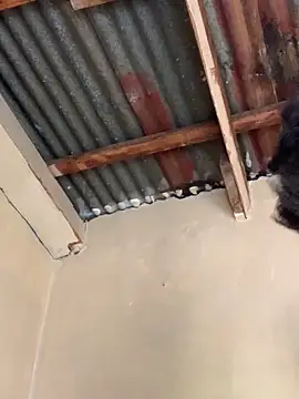 Snapshot of SEXY_TOKYOxxx chatting on October 22, 6:24 am SEXY TOKYOxxx online show from October 22, 6:24 am