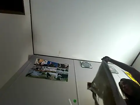 IvanaPlenty online show from February 21, 12:50 pm