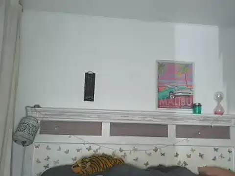 italianlatindream online show from December 10, 6:22 am