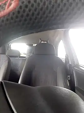 Gordinho quietinho online show from January 23, 11:26 am